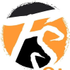 Fiksyenshasha.com logo