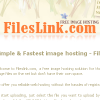 Fileslink.com logo