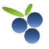 Findberry.com logo