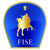 Fise.it logo