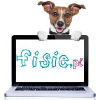 Fisie.pl logo