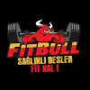 Fitbull.com logo