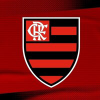 Flamengo.com.br logo