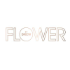 Flowerbeauty.com logo