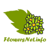 Flowersnet.info logo