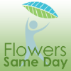 Flowerssameday.co.uk logo