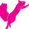 Flyingsquirrelsports.ca logo