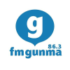 Fmgunma.com logo