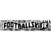 Footballski.fr logo