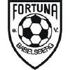 Fortunababelsberg.de logo