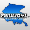 Friuligol.it logo
