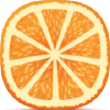 Fruitinfo.ru logo