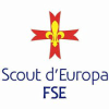 Fse.it logo