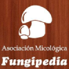 Fungipedia.org logo