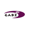Gabzfm.com logo