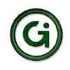 Gameinstitute.com logo