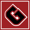 Gamingstore.vn logo