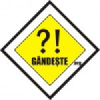 Gandeste.org logo