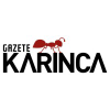 Gazetekarinca.com logo