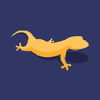 Geckodesigns.com logo
