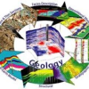 Geologinesia.com logo