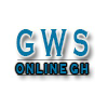 Ghanawebsolutions.com logo
