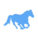 SEO Manchester | SEO Agency | SEO Company | SEOReq