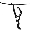 Gibbonexperience.org logo