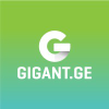 Gigant.ge logo