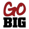 Gobigrecruiting.com logo