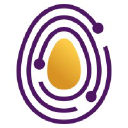 Golden Egg Check