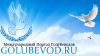 Golubevod.ru logo