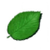 Greenfacts.org logo