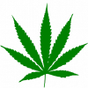 Growingmarijuana.com logo
