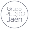Grupopedrojaen.com logo