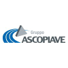 Gruppoascopiave.it logo