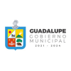 Guadalupe.gob.mx logo