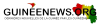 Guineenews.org logo