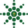Gyogyikaszer.hu logo