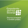 Gzs.si logo