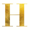 Hassasphotography.com logo