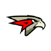 Hawk.ru logo