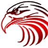 Hawkfeed.com logo
