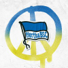 Herthashop.de logo