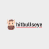 Hitbullseye.com logo