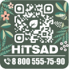 Hitsad.ru logo
