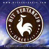 Hitsertanejo.com logo