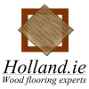 Hollands.ie logo