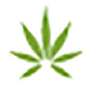 Honestmarijuana.com logo