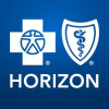 Horizonblue.com logo